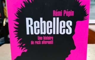 Livre "Rebelles" par Rémi Pépin aux éditions Hugo doc