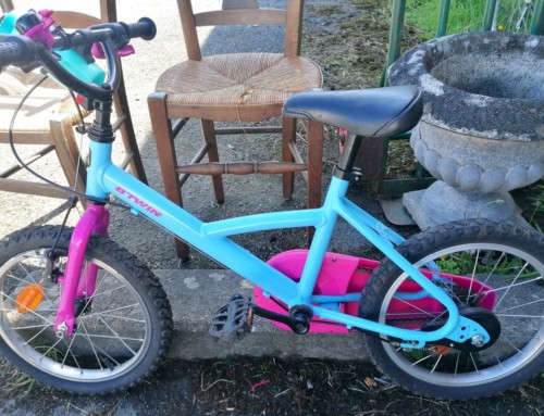 Vélo enfant bleu