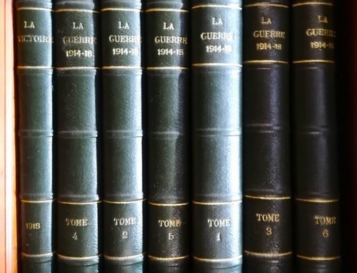 Livres Le Panorama de la Grande Guerre 1914-18 en 7 volumes