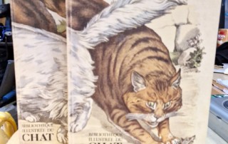 Livres La Bibliothèque illustrée du Chat en volumes par Juliette RAABE