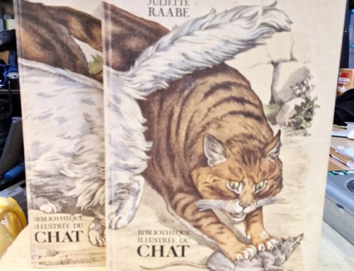 Livres La Bibliothèque illustrée du Chat en volumes par Juliette RAABE