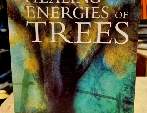 Livre « The Healing Energies of Trees » par Patrice Bouchardon