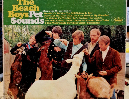 33T The Beach Boys « Pet sounds »