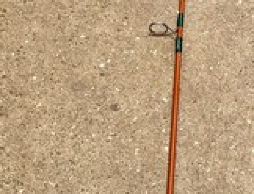 Canne à pêche avec moulinet