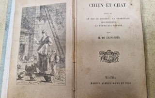 Livre "Chien et Chat" par M. de CHAVANNES illustrations YAN DARGENT