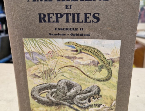 Atlas des vertébrés Amphibiens et Reptiles fascicule II