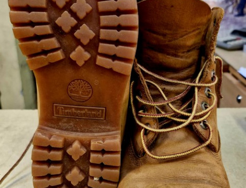 Chaussures TIMBERLAND