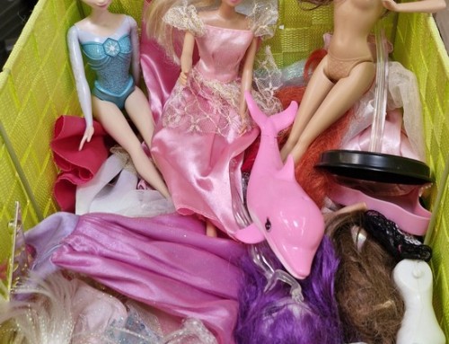 Lot Barbie et divers accessoires