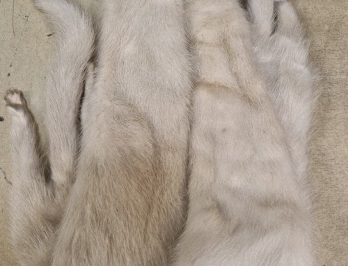 Étole vintage en fourrures d&rsquo;hermines