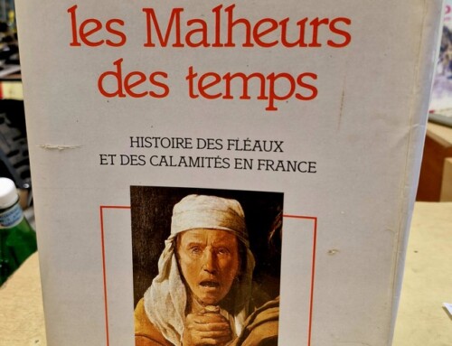 Livre « Les Malheurs des Temps » par Delumeau/Lequin