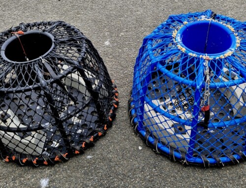 Casier à crabes et homards