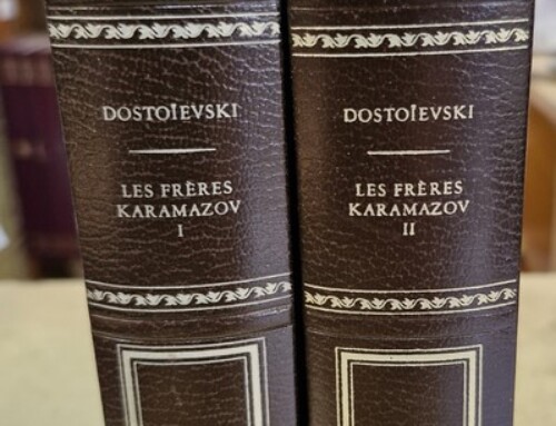 Livres « Les Frères Karamazov » de Dostoïevski en 2 volumes