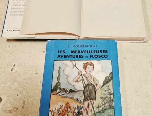 Livres Les Merveilleuses Aventures de FLOSCO « Trois étoiles filantes » et « Trois voiles claquantes »