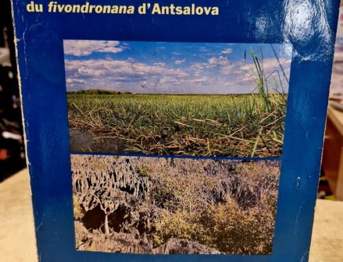 Livre Site du patrimoine mondial des Tsingy et Bemaraha et autres sites…