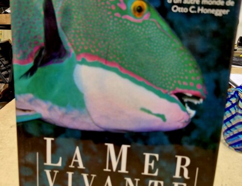 Livre La mer vivante