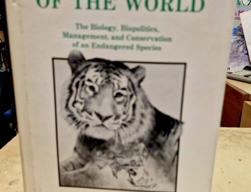 Livre « Tigers of the World the biology,biopolities,management,and conservation of an endangered species »  Noyes Publications