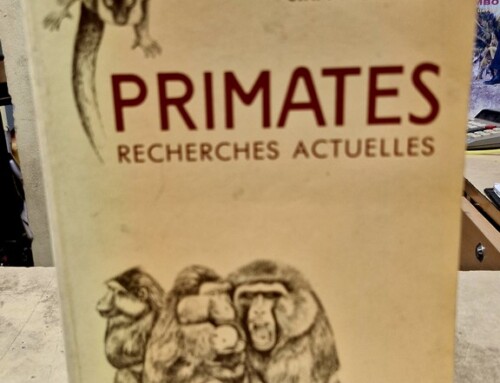Livre PRIMATES recherches actuelles par ROEDER & ANDERSON