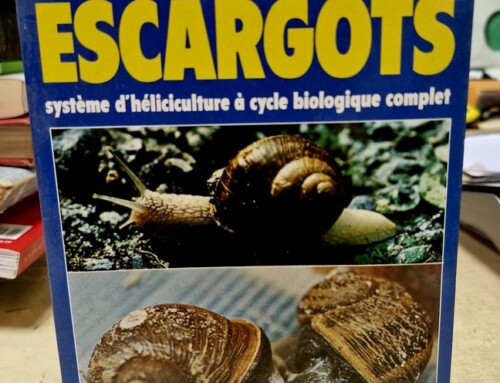 Guide complet de l&rsquo;élevage des Escargots