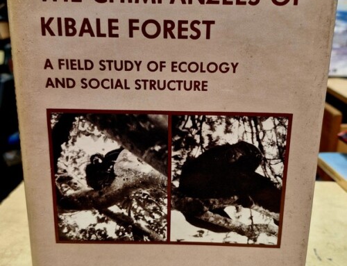 Livre « The Chimpanzees of Kibale Forest » par Michael Patrick Ghiglieri