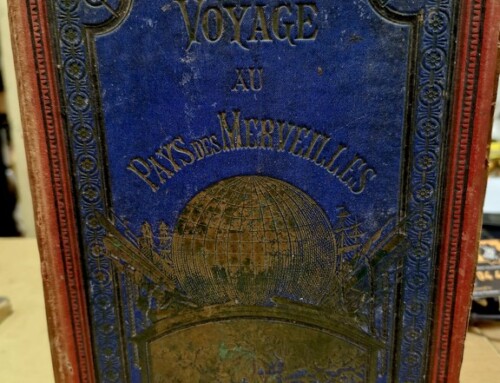 Livre Voyage au Pays des Merveilles