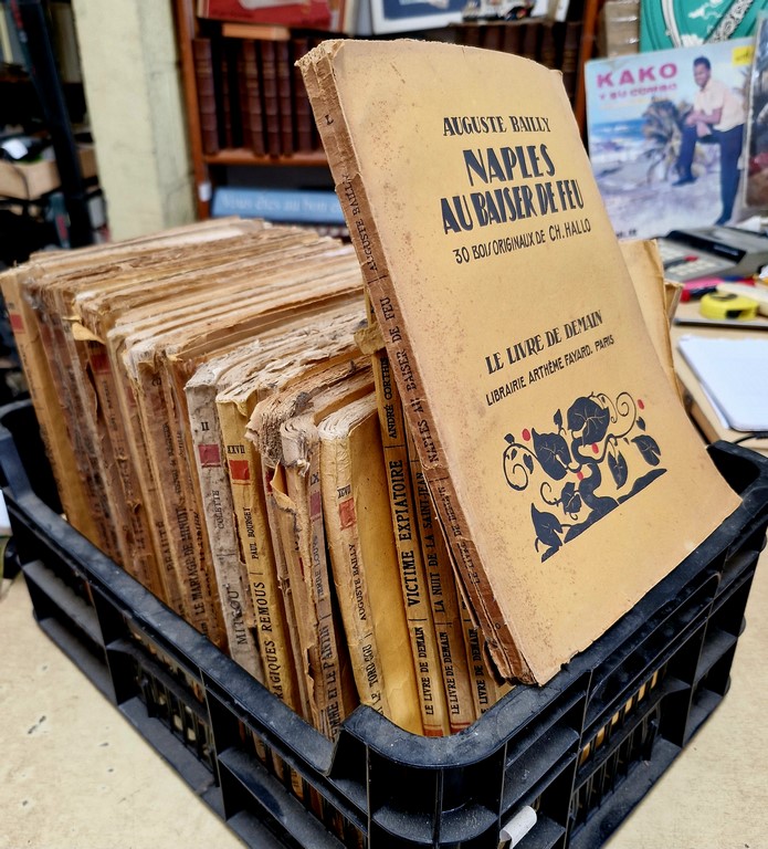 Lot de livres "Le Livre de Demain"