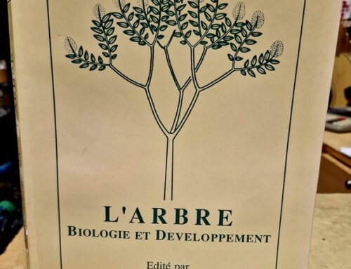 Livre « L&rsquo;arbre Biologie et Développement »