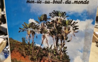 Livre MADAGASCAR mon île au bout du monde