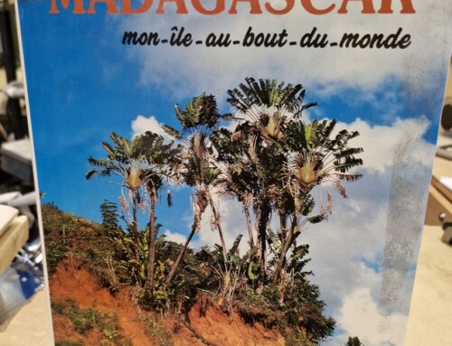 Livre MADAGASCAR mon île au bout du monde