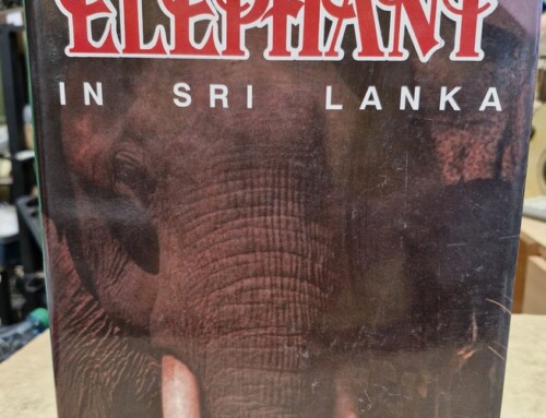 Livre The Elephant in Sri Lanka