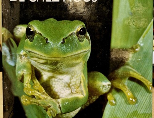 Livre batraciens et reptiles de chez nous