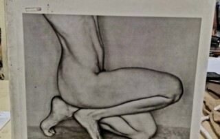 Livre Edward WESTON Nudes