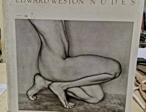 Livre Edward WESTON Nudes